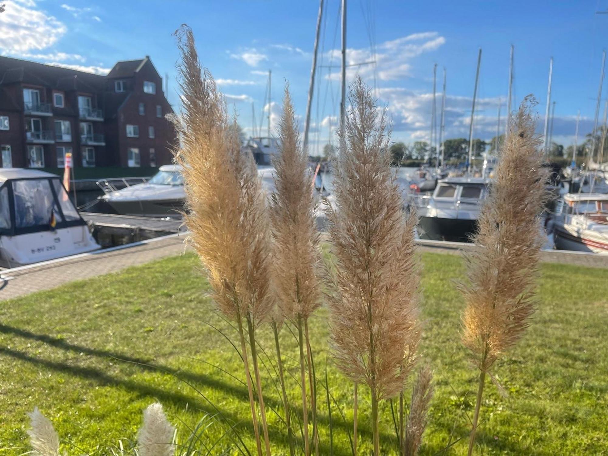 Liepgarten Bei Ueckermuende Fewo 15 - Zum Kolk Lejlighed Eksteriør billede